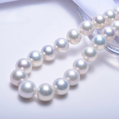 PEROLA REDONDA AAA+ 12-14 MM -  1 FIO - 40 CM