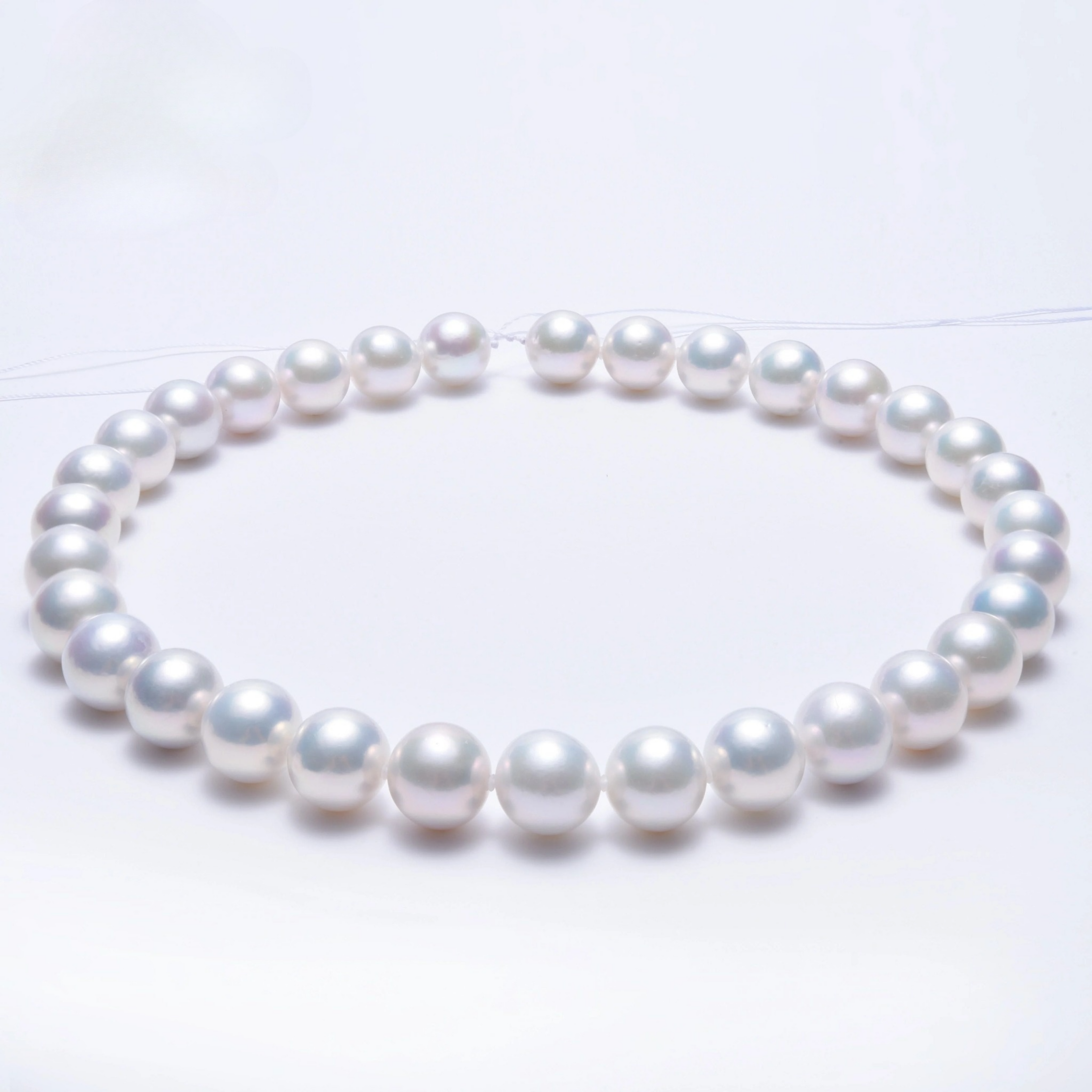 PEROLA REDONDA AAA+ 12-14 MM -  1 FIO - 40 CM