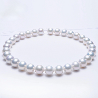 PEROLA REDONDA AAA+ 12-14 MM -  1 FIO - 40 CM