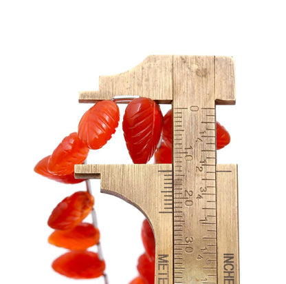CORNALINA FOLHA 11MM - 20CM- 1FIO